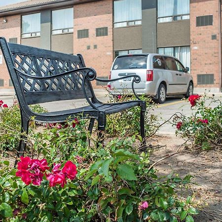 Comfort Inn Уотърлу Екстериор снимка